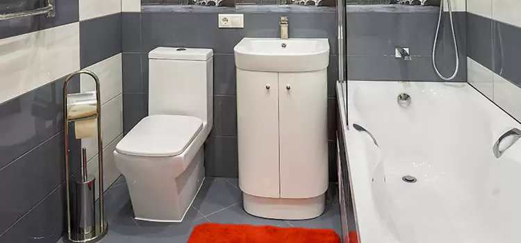 Hansgrohe Shaving Mirror Lathrop